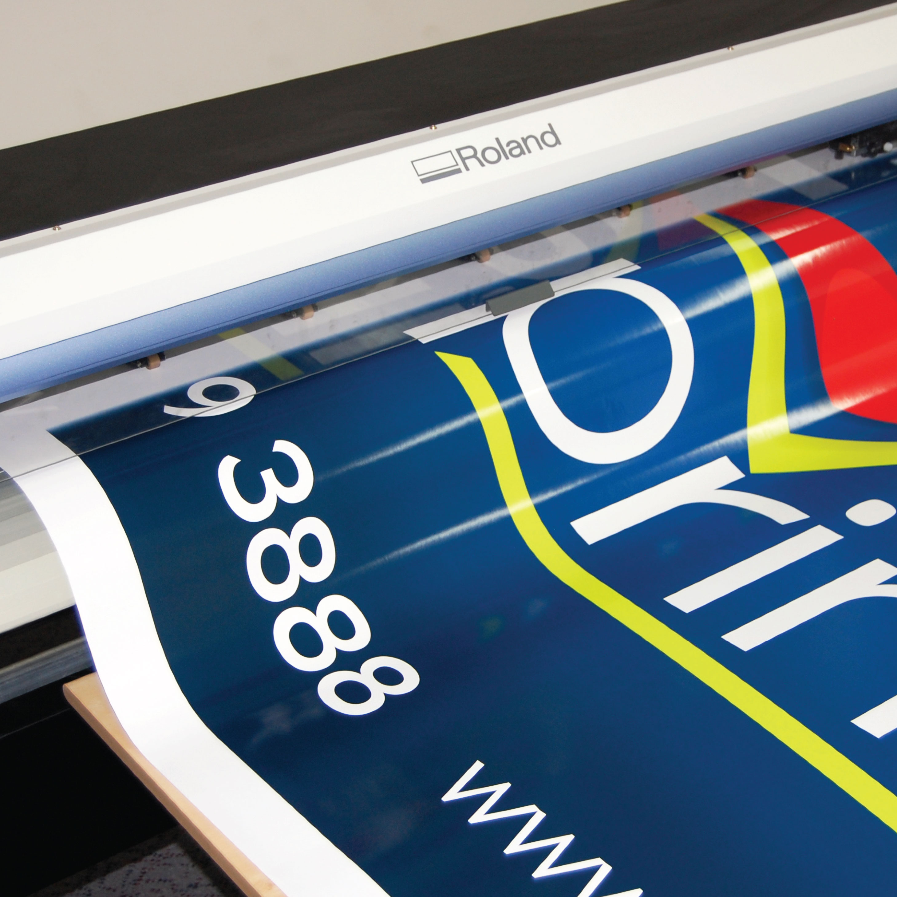 Vinyl Stickers Small size (up to 350cm2) Ashley Printers